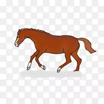 马术跳马英式马术-空若网 马术跳马英式马术-空若网