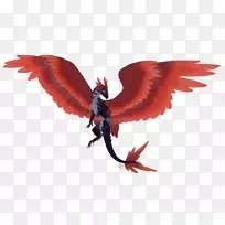 喙钟乳石-空若网 喙钟乳石-空若网