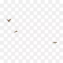 �׽��ͷ���-������