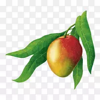 有机食品-芒果-空若网 有机食品-芒果-空若网