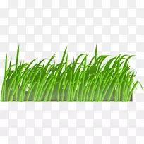 草坪人造草坪剪贴画-草山-空若网 草坪人造草坪剪贴画-草山-空若网