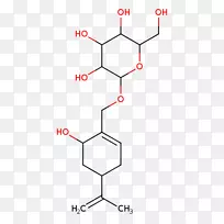 ֱ�ߵ����-������