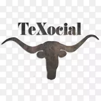 牛野生动物陆生动物杰弗里·霍恩-黄金火花-空若网 牛野生动物陆生动物杰弗里·霍恩-黄金火花-空若网