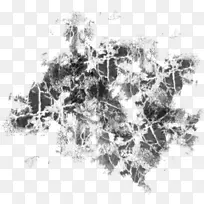 ��ɫ��֧-������