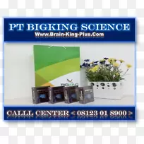 布莱加印尼营养神经科学-泗水-空若网 布莱加印尼营养神经科学-泗水-空若网