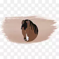 ��Ӱ��ˮ�ʻ�����.��ʿ-������