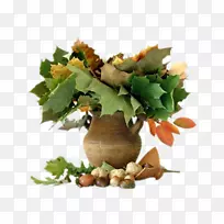 中心博客模特公司-机构-空若网 中心博客模特公司-机构-空若网