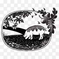 白马-空若网 白马-空若网