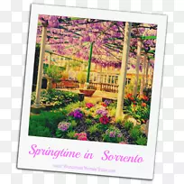 ��ľ޹�²ݿ���ֲ��.���-������