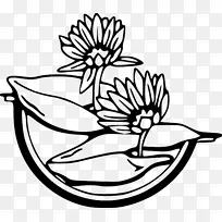 °£¼°ºÉ»¨ÏÂÔØ¼ÐÒÕÊõ-Ë®°ÙºÏ-¿ÕÈôÍø °£¼°ºÉ»¨ÏÂÔØ¼ÐÒÕÊõ-Ë®°ÙºÏ-¿ÕÈôÍø