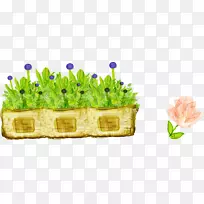 ²Ý»¨Ì³-¿ÕÈôÍø ²Ý»¨Ì³-¿ÕÈôÍø