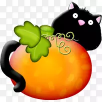 胡须南瓜葫芦猫鼻子-南瓜-空若网 胡须南瓜葫芦猫鼻子-南瓜-空若网