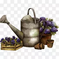 动物摄影-空若网 动物摄影-空若网