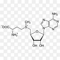 ���ռ�����s-������-1-ͬ�Ͱ��װ��ᰱ����-��������-������