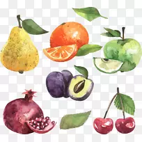 ƻ����ʵˮ����ɫƻ����ʵ-������