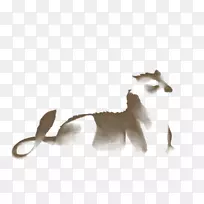 猫科动物尾巴野生动物-猫-空若网 猫科动物尾巴野生动物-猫-空若网