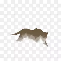 狗猫鼻子狗-空若网 狗猫鼻子狗-空若网