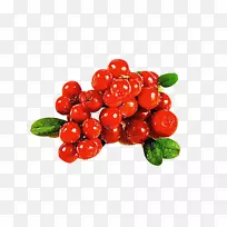 红浆果手绘颜色-空若网 红浆果手绘颜色-空若网