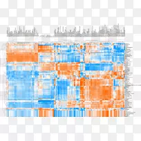 ֱ�ߵ���-������