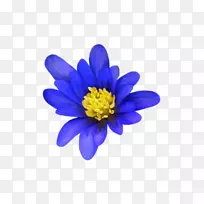 ��������ʼ�0�廨-������