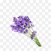 Ó¢¹úÞ¹Ò²ݻ¨Äý½ºÞ¹Ò²ÝÓÍ-Þ¹Ò²ݻ¨Êø-¿ÕÈôÍø Ó¢¹úÞ¹Ò²ݻ¨Äý½ºÞ¹Ò²ÝÓÍ-Þ¹Ò²ݻ¨Êø-¿ÕÈôÍø