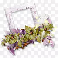 中心博客-秋季框架-空若网 中心博客-秋季框架-空若网