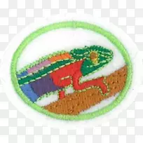 材料-伪装-空若网 材料-伪装-空若网