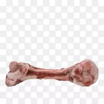 �ǡ����⡢�ɹǡ���ɣ����-����-������