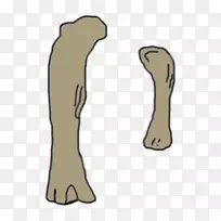 ��������Ĵָ���������-����-������