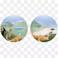 狗生态系统-狗-空若网 狗生态系统-狗-空若网