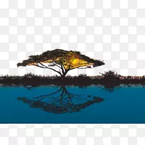 日落长颈鹿树,刺槐,猴面包树,黄昏沙漠树-空若网 日落长颈鹿树,刺槐,猴面包树,黄昏沙漠树-空若网