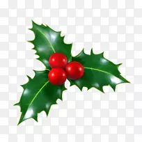 叶-空若网 叶-空若网