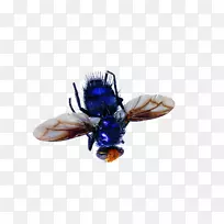 À¥³æºûµûó¯òëÀ¶Ó¬-¿ÕÈôÍø À¥³æºûµûó¯òëÀ¶Ó¬-¿ÕÈôÍø