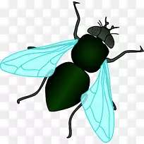 家蝇昆虫剪贴画-绿蝇-空若网 家蝇昆虫剪贴画-绿蝇-空若网