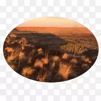 (Balgo)��������ҽ�Ʒ���-�����Ĵ�������-W�����Ŭ����-��-������