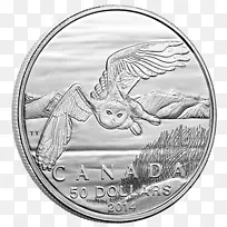 ���ô�ʼ�����-����Ӳ��-������