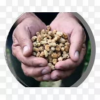 超级食品混合物-研磨-空若网 超级食品混合物-研磨-空若网