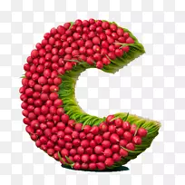 ��ݮ����ʳƷ�Ű���ĸ-c-������