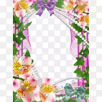 画框摄影兰花.心情帧图片-空若网 画框摄影兰花.心情帧图片-空若网