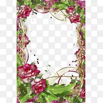 ����-���黭��-������