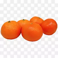 �̽�-������