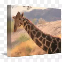 ����¹��½������Ұ��������ӳ���¹-������