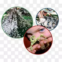 ��ʳ԰-��-������