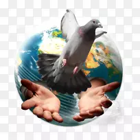 Facebook公司餐厅营业厨房-VIH-空若网 Facebook公司餐厅营业厨房-VIH-空若网