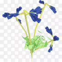 �л�ֲ�ﾥ����ֲ��-������