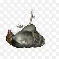 鼻嘴-空若网 鼻嘴-空若网