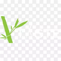 Ҷ��ֲ�ﾥ����Ҷ-������