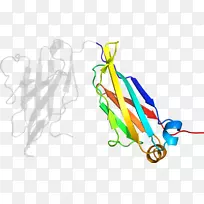 线点生物剪贴画线-空若网 线点生物剪贴画线-空若网