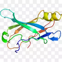 线点生物剪贴画线-空若网 线点生物剪贴画线-空若网