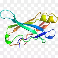 �ߵ������-��-������